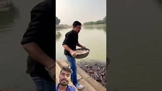 Bhai ne fish ko Khana khilaya bahi younickviral trendingreelsfish  trend viralvideo shorts [upl. by Neret]