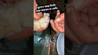 ভুলেও আস্ত চিংড়ি রান্না করবেন না কেউ। Dont forget to cook whole shrimp shrimp food foodlover [upl. by Benge]