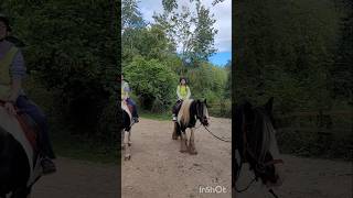 Saturday trekking colouredcob horse horseriding [upl. by Becket107]