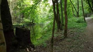 Naturparadies Gsteinigt  Arzberg im Fichtelgebirge [upl. by Akenat]