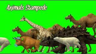 Dinashor and cenozoic creature stampede  Green screen animals  Animal stampede green screen [upl. by Henrieta]