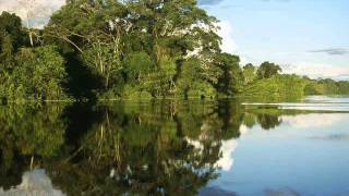 Dori Caymmi  Amazon River II [upl. by Quintina]