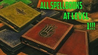 Skyrim Special Edition Guide How to get All Vendor Spells at Level 1 [upl. by Ahsienroc794]