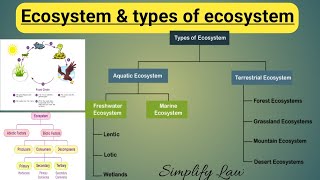 Ecosystem  Different types of Ecosystem  Environmental Science  EVS  Simplify Law [upl. by Nodyroc]