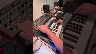 Arpeggiator patterns w the Launchkey 37  Prophet5 [upl. by Yeldua]