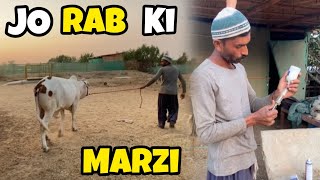 BACHRAY KI TANG MAY KESAY LAG GAI  AnimalPointPkOfficial [upl. by Erinn]