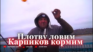 Плотву ловим Карпиков кормим Запорожье 291124 [upl. by Hershell635]