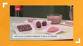 Chocolate Covered February Spoil your sweetie all month long in Hershey [upl. by Nilhsa938]