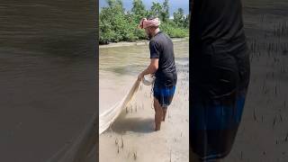 Amazing fishing view in forest canal [upl. by Pooley]