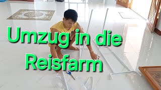 Umzug in die Reisfarm [upl. by Eiram918]