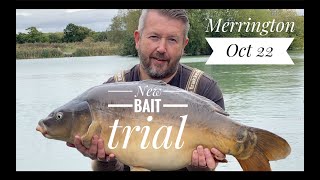 Testing a new bait at Merrington Carp Fishery Oct 22 [upl. by Ycram]