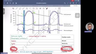 Cardiac Cycle  Heart Pressure amp Electrocardiogram Wiggers Diagram [upl. by Suilmann]