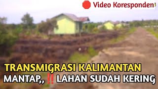 BARU‼️ KONDISI LAHAN WARGA SETELAH PENANGGULAN TRANSMIGRASI SP6 B JALUR 4 [upl. by Hirschfeld31]