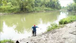 Chinook Salmon caught on the Nottawasaga River [upl. by Eelirem]