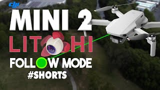 Testing DJI Mini 2 Follow Me Mode  Litchi Review [upl. by Chaing]