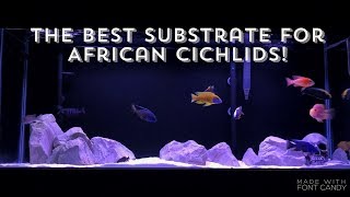 THE BEST SUBSTRATE FOR AFRICAN CICHLIDS  AQUARIUM SANDGRAVEL [upl. by Anaillil]