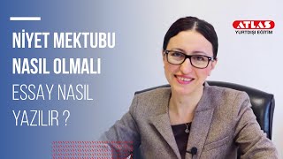 İyi Bir Niyet Mektubu  Essay Nasıl Yazılır [upl. by Earej]