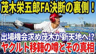 【楽天ファン衝撃！】茂木栄五郎FA行使！移籍先にヤクルト浮上の理由とは？ [upl. by Sophy4]