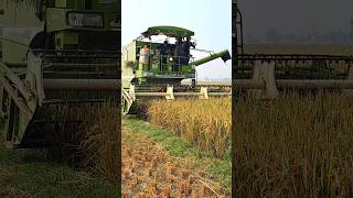 Malkit 997 Harvester 🌾✨️ shorts trending viralshorts farming malkit harvest [upl. by Briggs]