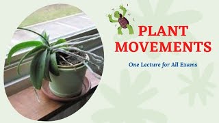 Plant Movements  Plant Developmental Biology  Bot 702  Botany [upl. by Hazaki399]