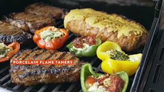 Megamaster 2 Burner Propane Gas Grill Features [upl. by Arva]