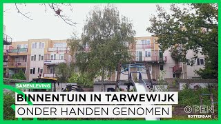 Actie in Tarwewijk Binnentuin onder handen genomen na jarenlange achterstand  SAMENLEVING [upl. by Rose]