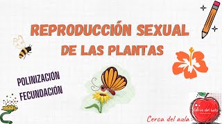 Reproducción sexual de las plantas [upl. by Afihtan787]