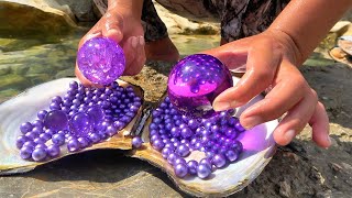 Uncovering the Mystery of River Clams The Story of a Girl Collecting Purple Pearl [upl. by Eanej]