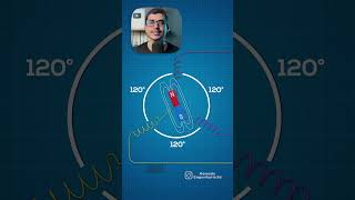 PORQUE 3 FASES NA REDE TRIFÁSICA eletricidade eletricista eletrica eletricaresidencial [upl. by Iznekcam]