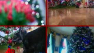 Raw Video Barneys Final Christmas Video [upl. by Ahsinot]