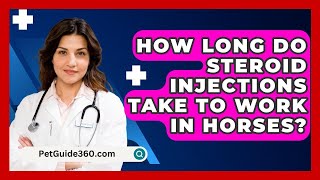 How Long Do Steroid Injections Take To Work In Horses  PetGuide360com [upl. by Giana]