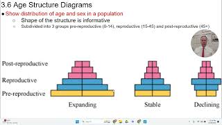 APES  36  Age Structure Diagrams [upl. by Hera]