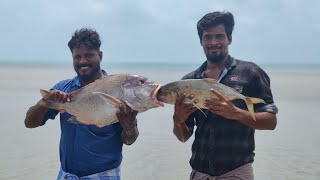 10 கிலோ பிரம்மாண்டமான மீன் குழம்பு சமையல்  Fish curry recipe [upl. by Nelan128]