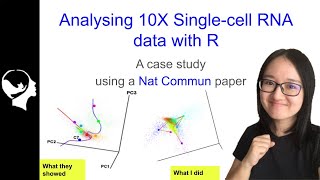 How to analyze 10X Single Cell RNAseq data with R Seurat Package Tutorial [upl. by Karlow367]