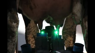 miRobot  Fully Automating The Milking Process  Robotic Milking Machine  Automatic Milking Robot [upl. by Yeoj]