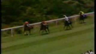 Le Moss  1980 Goodwood Cup [upl. by Cornell640]