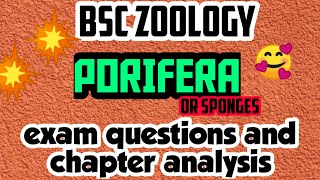 BSC ZOOLOGYPORIFERAPARAZOAFULL ANALYSISEXAM QUESTIONSIN മലയാളം [upl. by Scheld387]