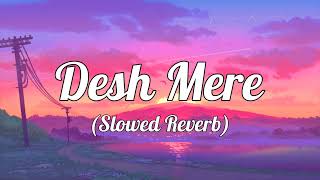 Desh Mere lofi song  Slowed Reverb  Desh Bhakti song  deshbhakti lofi trending reels [upl. by Ayikahs75]