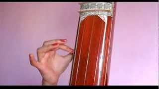 How To Play Tanpura Beautiful Hands Strumming Tanpura For Riyaz [upl. by Leacock]