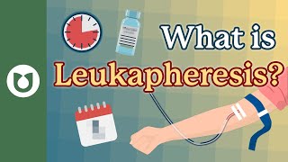 What is leukapheresis myeloma [upl. by Batruk817]