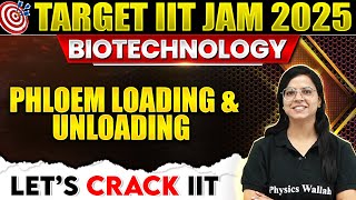 Phloem Loading and Unloading  Plant physiology  IIT JAM Biotechnology 2025  PW [upl. by Debo]