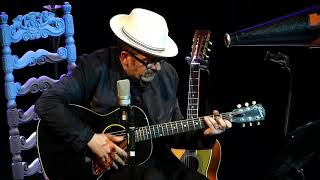 Elvis Costello  She  Firenze 2016 Archive [upl. by Enitsenrae]