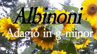 Adagio Albinoni  Adagio in G minor  Adagio in g moll [upl. by Annairb922]