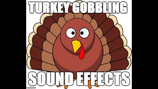 Turkey gobbling  Sound effects [upl. by Nanete]