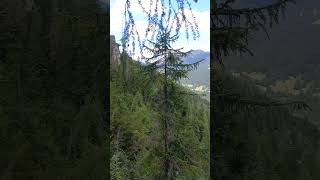 Kranjska Gora Slovenia mountains travel walk nature europe [upl. by Theola]