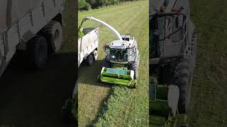 Hill silage with Claas Jaguar 980 Fendt New Holland Case IH  Harvesting of sown alfalfa  2024 [upl. by Nyrahtak]