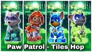 Paw Patrol  Everest 🆚 Zuma Chase 🆚 Rocky [upl. by Jeffrey270]