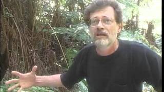 Terence McKenna  Interview Hawaii  October 1998 [upl. by Halli275]