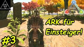 ARK Anfänger Guide 3 ► Tiere zähmen Was ist Torpor Dino Gehege bauen [upl. by Frankel]