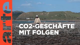 Neuseeland Carbon Farms mit Nebenwirkungen  ARTE Reportage [upl. by Nelac]